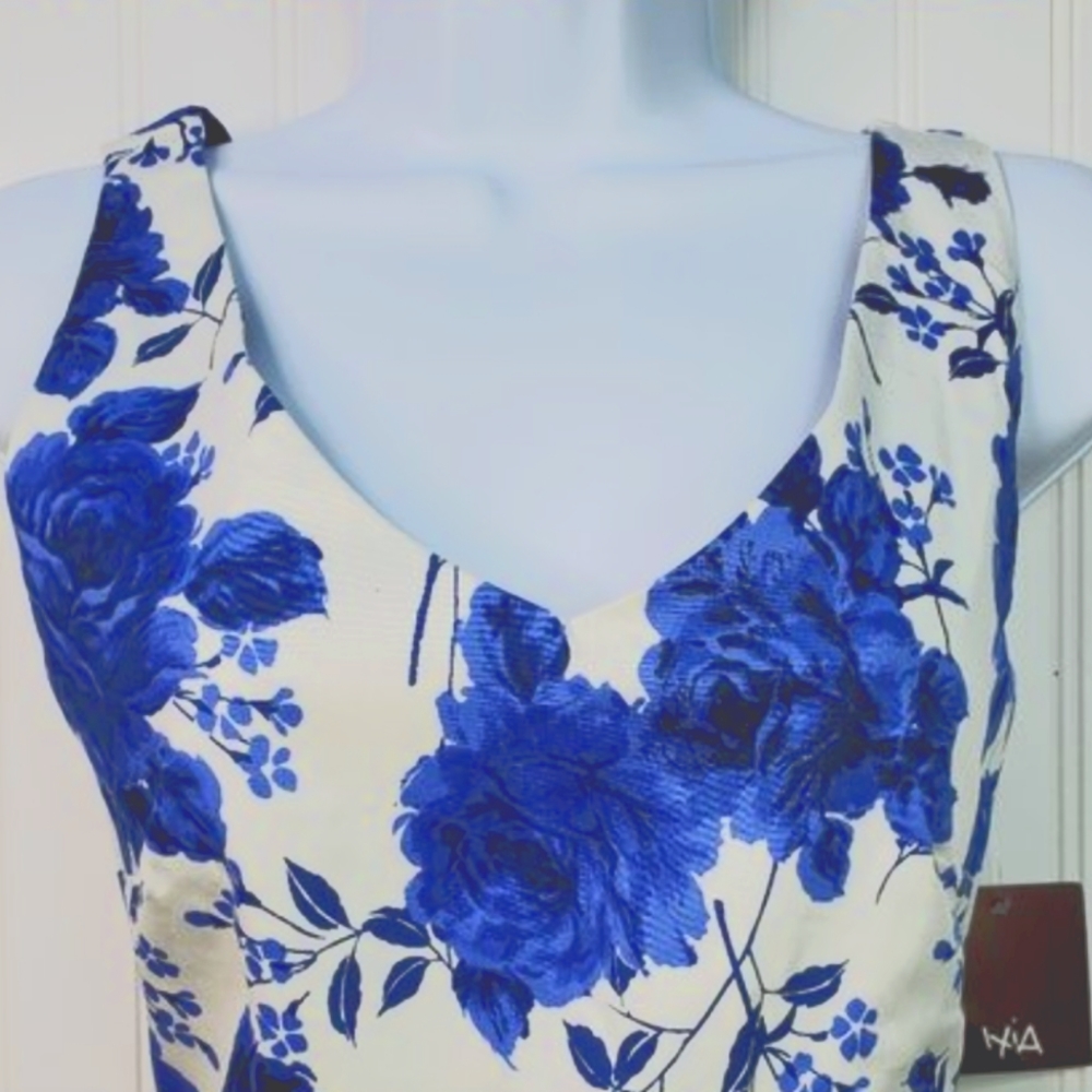 Ixia fit and flare dress with pockets